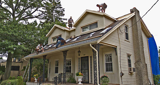Best Roof Repair Services  in Roanoke, IN