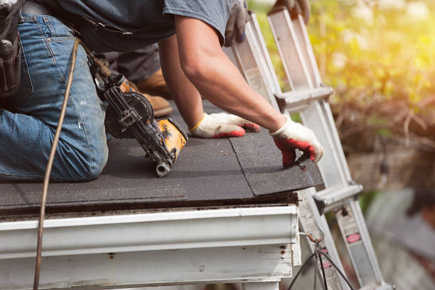Best Metal Roofing Contractor  in Roanoke, IN