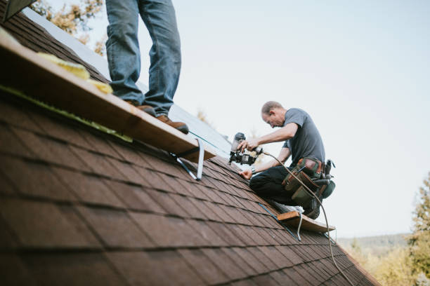 Best Roof Gutter Cleaning  in Roanoke, IN